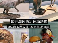 -中国美术馆