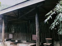 -金孔雀温泉旅游度假村