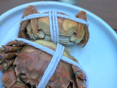 -品鲜村农家菜·阳澄湖大闸蟹(总店)