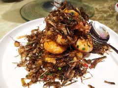 野山蒜油爆虾皇-同里湖大饭店-怡景轩中餐厅(同里古镇店)