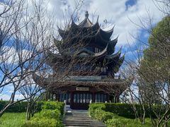 -上海海湾国家森林公园