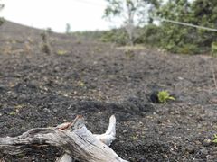 -夏威夷火山国家公园
