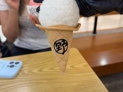 -野人先生Gelato(上海长宁龙之梦店)