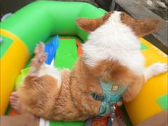 -安吉龙王山峡谷漂流