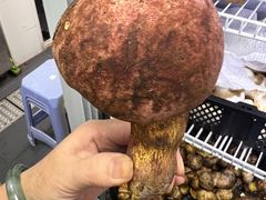 -芸鲜季·云南野生菌餐厅· 云南风物味研社(闵行店)