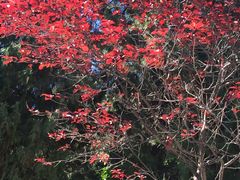 -香山公园-东宫门售票处