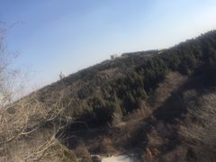 -原山国家森林公园