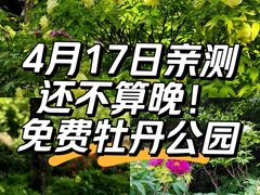 -洛阳市牡丹公园