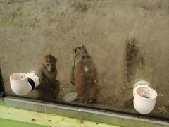 -北京鹿世界主题园