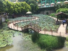 -珠海圆明新园