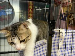 -谜盒子奇幻密室(南屏店)