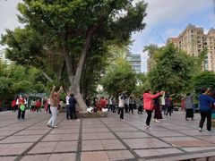 -晓港公园