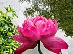-云溪植物园