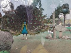 -陕西自然博物馆