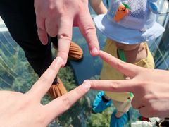 -藏龙百瀑风景区