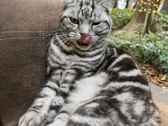 -Liberty Brewing Co·曼哈顿餐吧