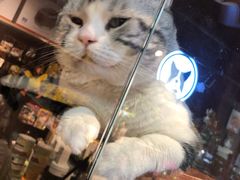 -Goku PET SHOP宠物视觉生活馆(双井店)