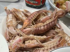 -金潮排档·金牙齿排档(广场西路店)