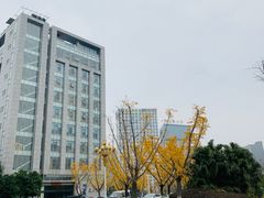-龙潭水乡