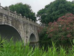 -眉山湿地公园(东坡区)