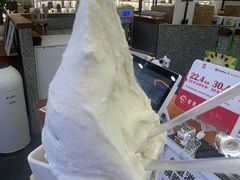 -野人先生Gelato(上海长宁龙之梦店)