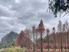 -星湖旅游景区七星岩