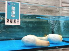 -金海湾海鲜总店