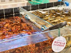 -川骄海鲜自助(亚运村店)