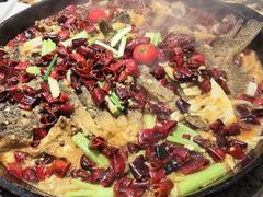 -老板恋上鱼(印象城店)