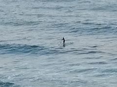 -红月湾海鲜饭店•沙滩海景(双月湾店)