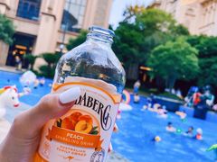 -上海浦东星河湾酒店