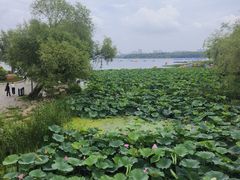 -长春市南湖公园