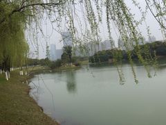 -艾溪湖湿地公园