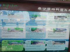 景点-大湾区中央湿地公园