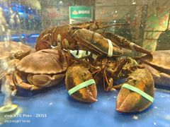 -肥仔文澳门猪骨煲(南京西路店)