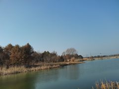 -贡湖湾湿地公园