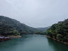 -鼎湖山风景区