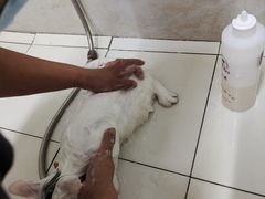 -沐沐家宠物(成寿寺店)