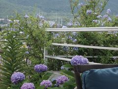 -唐咖精品咖啡(大理古城手冲店)