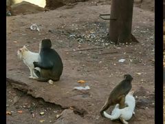-昆明动物园