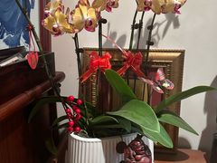-上海1号私藏菜(黄浦店)