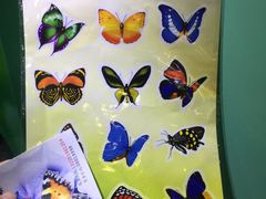 -上海昆虫博物馆