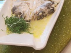 清蒸鲈鱼-大鸭梨烤鸭(左家庄店)