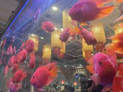 -朱光玉火锅馆(正弘城店)