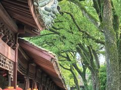-天一阁博物院