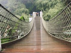 -铁山坪森林公园