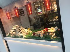 门面-必点海鲜·鲅鱼水饺(鞍山西道店)