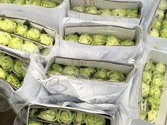 -循礼门鲜花花市(武汉循礼门店)