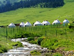 -胖老汉椒麻鸡清真新疆菜(西御街店)