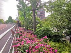 -北外滩滨江绿地